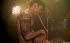 Rough & intense sex swing flip fuck pounding - Nextdoorraw