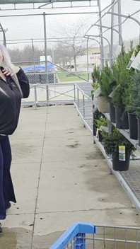 Plant Shopping