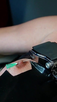 ผลักดันขอบเขตของทาส