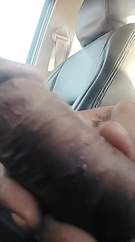 Indian Cock