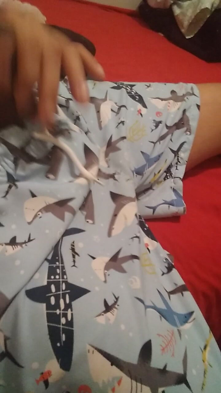AlexAlejandro13: Cewek sange ini ngentot kontolku habis-habisan sampai dia ketagihan!