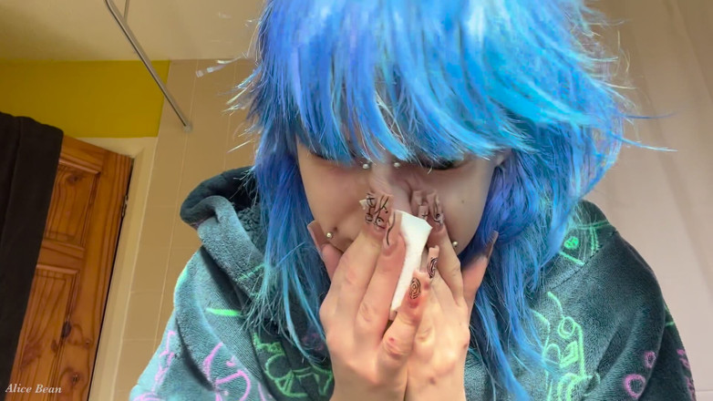 Alice Bean: Hayfever Honks