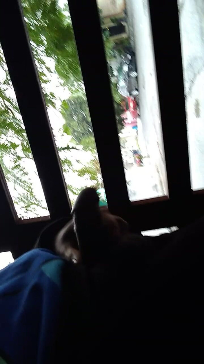 AlexAlejandro13: C’était une matinée agréable