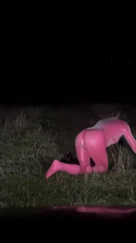 Рожева латексна гра на відкритому повітрі sissy