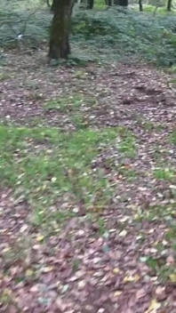 Cette salope britannique blonde coquine est accro au dogging et à la éjaculation
