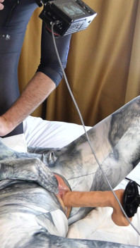 Nora fox wolf zentai macchina da inseminazione