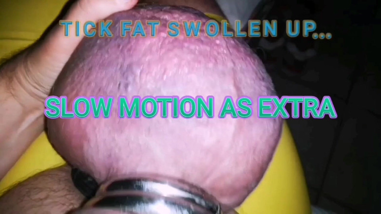 Monster_Meat_: Bolas suculentas de silicone inchadas