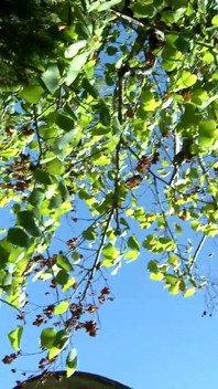 Montse Swinger: Cleaning the Camera Lens