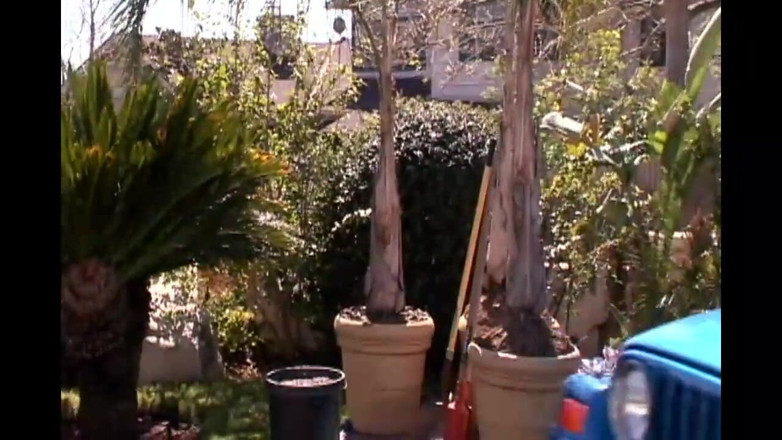 Fuck And Go: American Whores!! - Bölüm 03