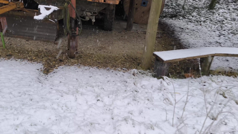 Bouncy Tits Action: Naked Tit Slapping in the Snow