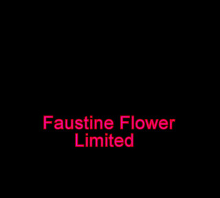 Faustine: Travestito sexy calze e perizoma tacchi alti