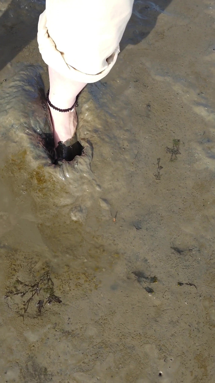 Footfetish: Kurzer Test Im Watt Am Strand Von Horumersiel