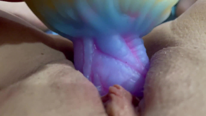 RoxxyReed: Octopussy