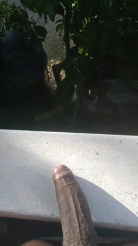 Flashing the Neighbors While Sunbathing