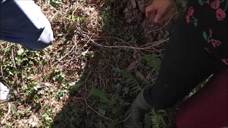 K Vw: Tidak dirancang di dalam Hutan