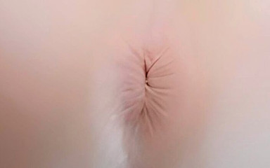 Dusty Confort: Ne göt deliği!