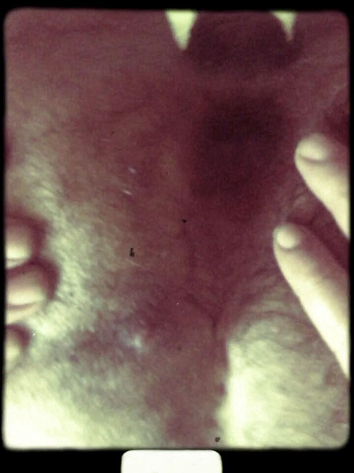 Phillholes: Farklı büyük dildolarla kendimi sert sikiyorum