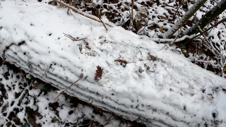 Bouncy Tits Action: Kasta snöbollar på hennes nakna fitta - hela flickan naken i...