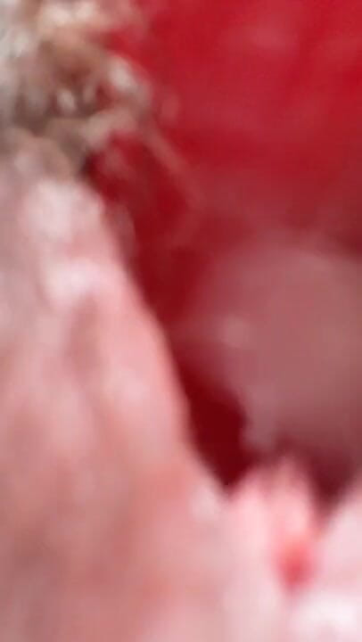 ViviBush: Hairy teen giantess finds her little stepbrother
