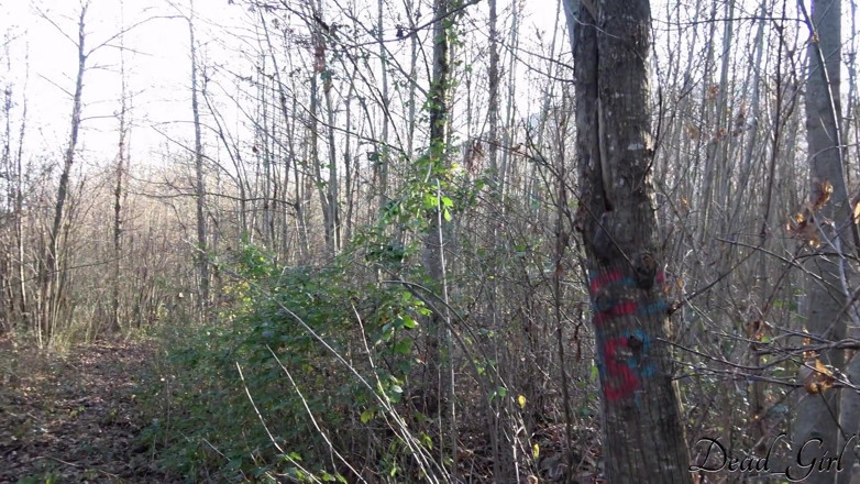 Dead Girl: Mädchen kommt in den mund in einen wald