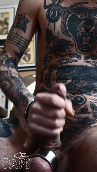 Stallion papi: Pajas