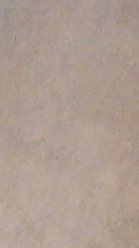 Fuck Me Doggy Style in My Asshole -1