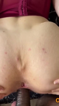 Our Favorite Doggy Shots All in One Which One Drives You Wild?