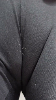 Pokazuję ci moje cameltoe w leginsach