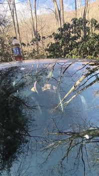 他又在看陌生人的笑容