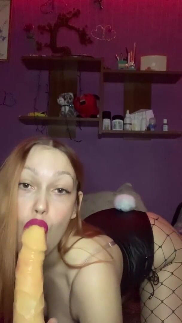 Your Sexy GF: A beautiful bitch in stockings sucks a dildo and she...