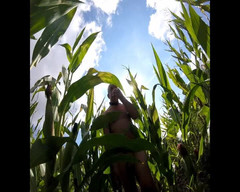 Andy: Maize Walk