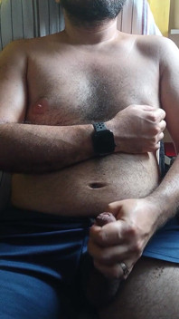 Oso lechoso