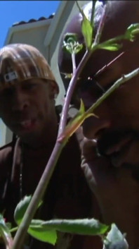 Pussy friends play with their black dick friends