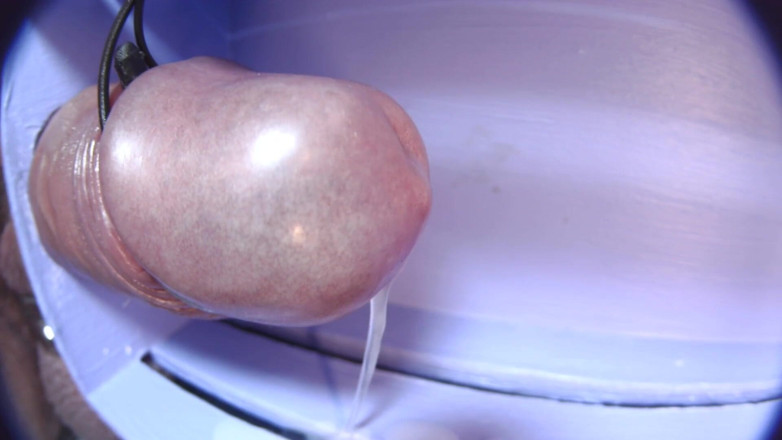 Gaylectrician: E-stim cumshot 21-11-22