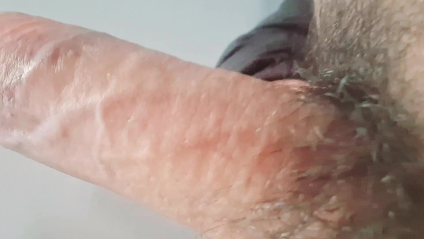 Big Cock Anal Stop (EVArds XX) Big Cock Anal Stop (EVArds XX)