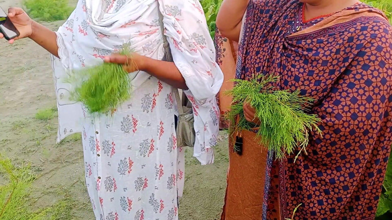 Hoktoml99: Rakib69 _ Bangla Desi Outdoor Village 3 Some Mms Hot