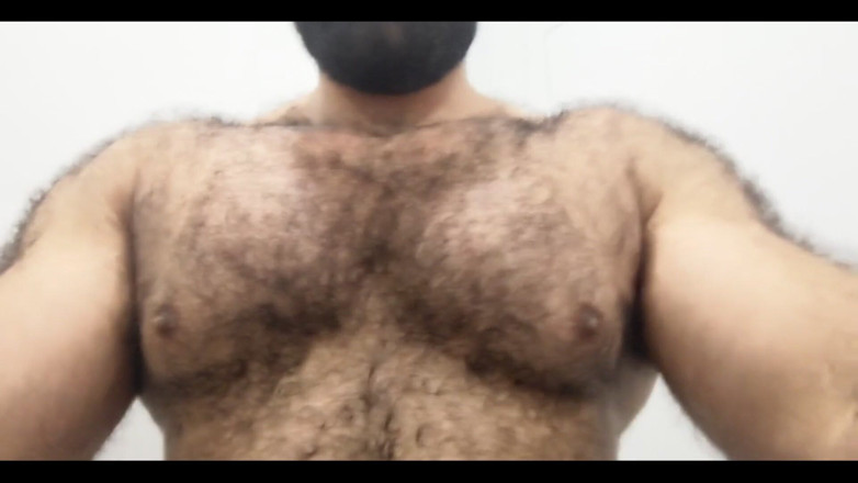Lobo: Hairy Chest