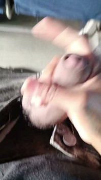 I Masturbate on the Public Bus