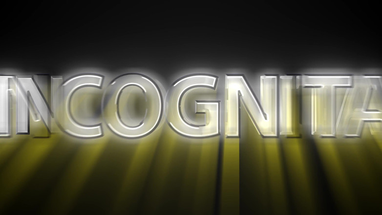 Incognita XXX: Часть 2 - в игре всегда есть счастливое окончание