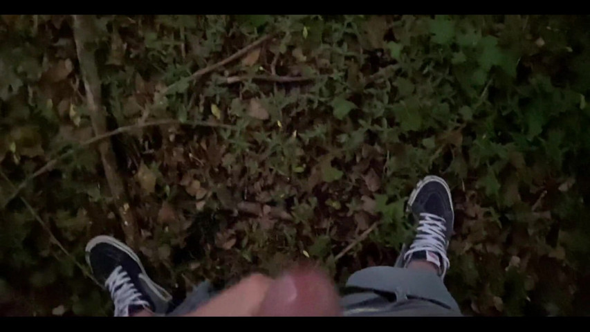 Hand Job in the Wood (Monella2001)