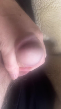 Hard Cock Every Morning