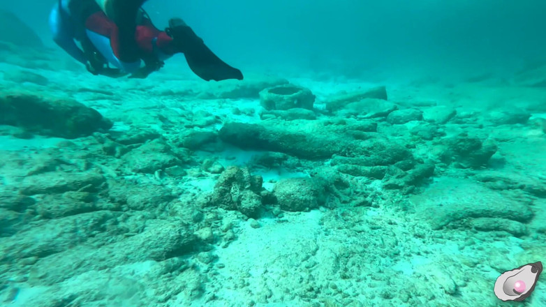 Mistress Pink Pearl: Pertemuan Supergirl Sama Gurita Paling Sange di Bonaire