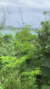 Paradise Tease-a Sunlit Muse Mixing Drinks, Drops, and Your Perfect Finish Chapter-3