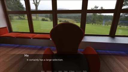 Visual Novels: Crisis de mediana edad parte 9