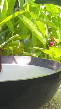 Jungle Bath Naked - Behind the Scenes