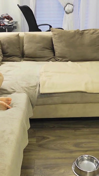 Petplay dengan awek Tranny Mean! Peliharaan bodoh hanya dibenarkan membonggol sofa!