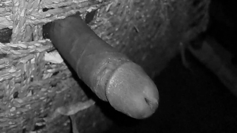 Desi_Porn_India: หนุ่ม Desi อินเดียสุดฮอตช่วยตัวเองในตอนกลางคืน
