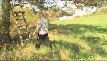 Old PIGS XXX: « Oh mon dieu papa ! » - DVD