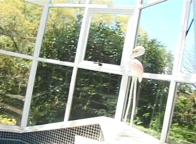 Chicks with Dix: Esmer transeksüel götü takma yaraklı sarışın bebek tarafından sikiliyor