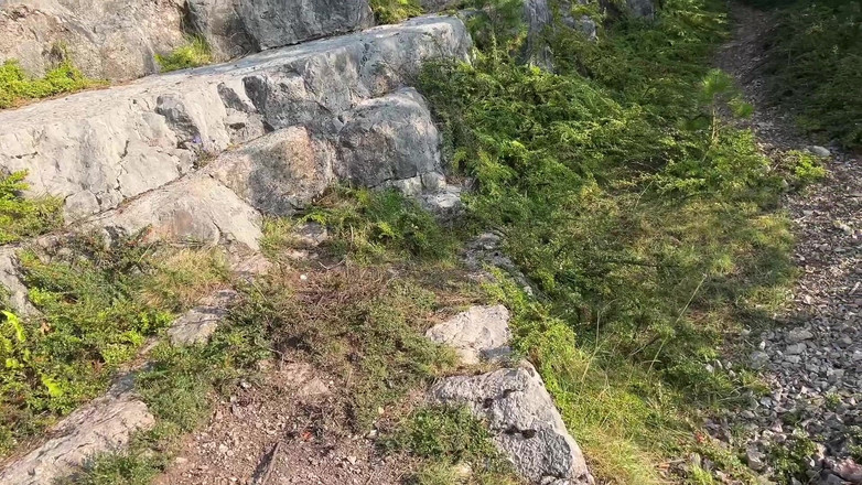 Only Owain: Tetovaná teenagerka mě šuká na výletě